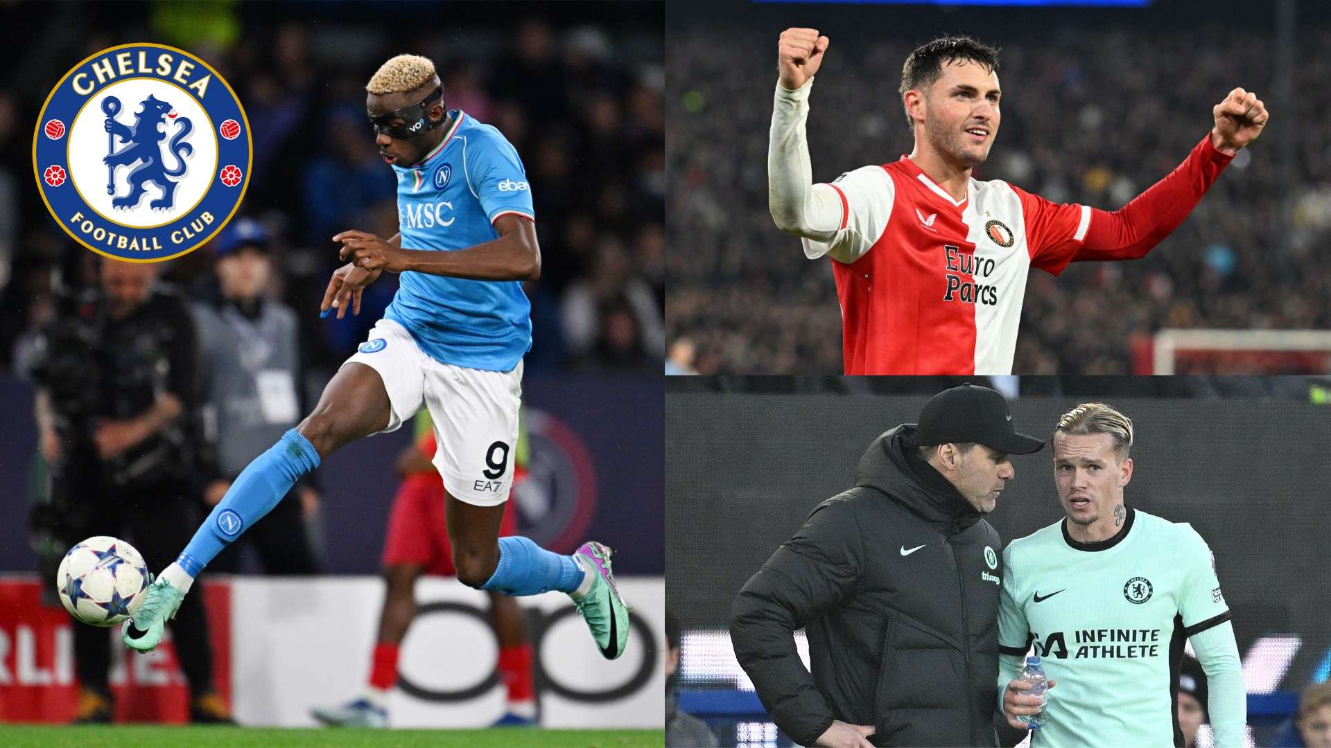 使他逐渐成 使他逐渐成